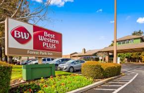 Best Western Plus - Forest Park Inn