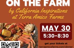 Crab Boil Dinner