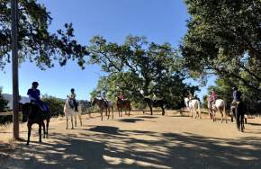 Cooper Garrod Estate Vineyards