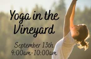 Yoga in the Vineyard