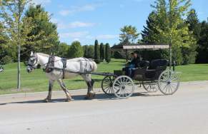 Drive It Yourself Horse Carriage Tour on Mackinac Island