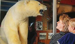 ole's bear