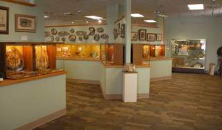 petrifiedwood-galleryview