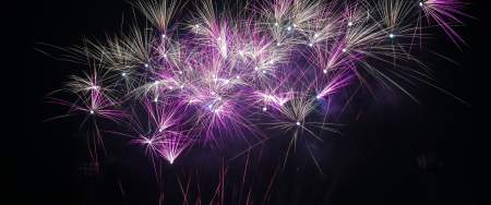 Swansea council fireworks display