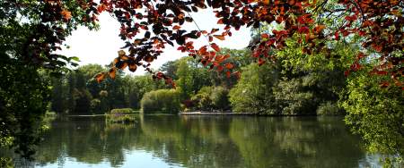 A photograph of the lake in Brynmill Park