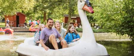 Create Unforgettable Memories in Swansea Bay