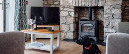 A dog by a log burner.