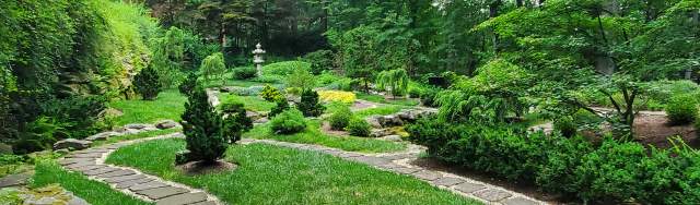 Stan Hywet Hall & Gardens Akron | History & Birch Tree Allée