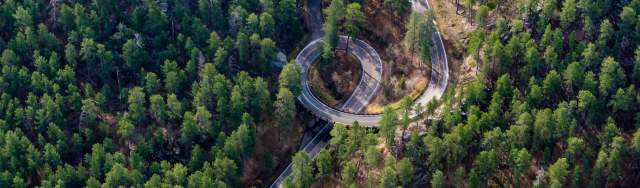 Green Light to Adventure: April in the Black Hills & Badlands