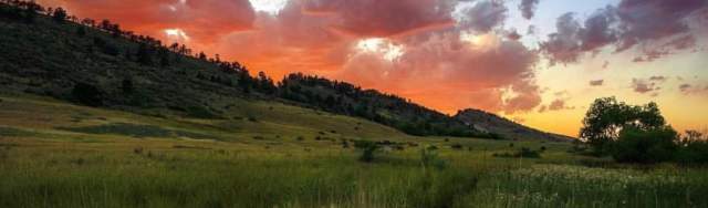 Guide to Living in Fort Collins: Tips and Tricks