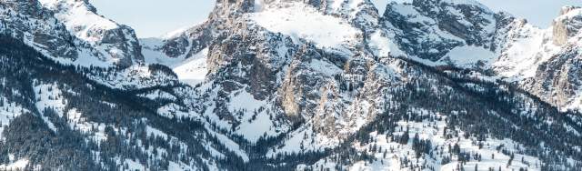 冬景色　Teton winter Teton National Park in Winter with John Pedersen and Jack