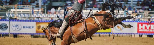 Rodeo - the rodeo in シービーワンバズー200 超美品CB-ONE of Cody