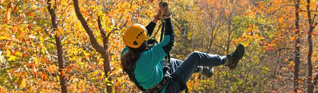 Common Ground Ziplining