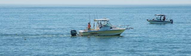 Fishing Hero