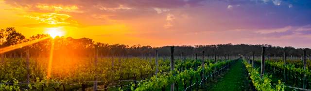 Long Island Wine Country Launches First Annual Long Island Locals Week