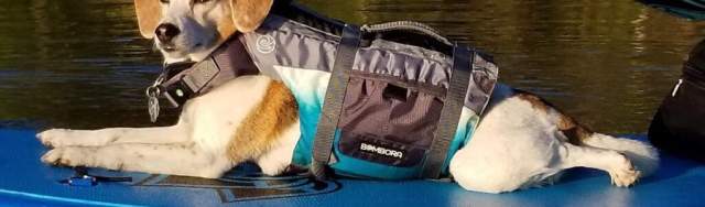 se permiten perros en brush lake idaho