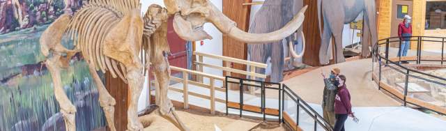 Dig Into The Mammoth Site Sinkhole For A Colossal Adventure Near