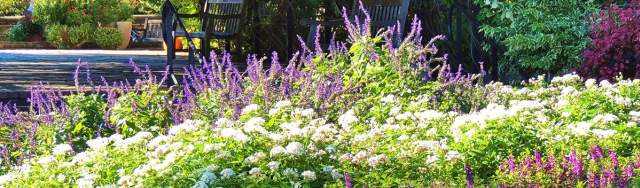 Lush flowers in distance