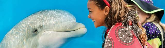 Girl in Halloween costume looking at dolphin