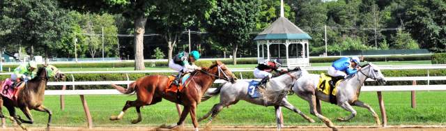 Charming View Near Saratoga Racecourse in 2025