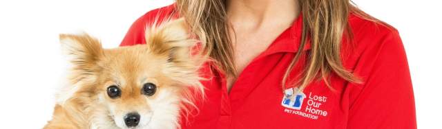 FEATURE FRIDAY Jodi Polanski CEO of Lost Our Home Pet Rescue on