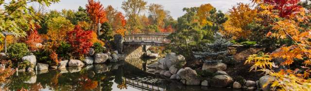 Plant City October Festival: A Vibrant Celebration of Fall 2026