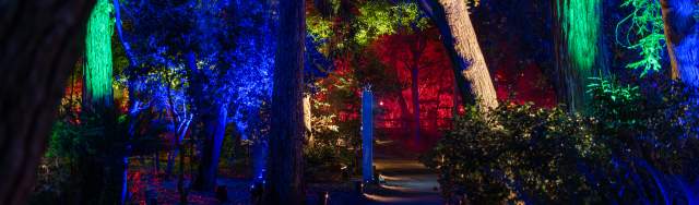 Enlighten Holiday Light Spectacle To Put West Michigan In The Global Spotlight