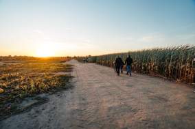 Exploration Acres