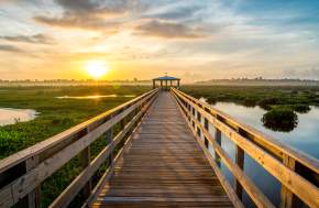 Cattail Marsh Boardwalk