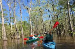 Two People Paddling at Scatterman Lake in Beaumont, TX