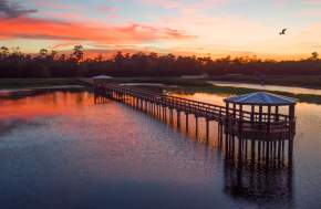 Cattail Marsh Scenic Wetlands & Boardwalk