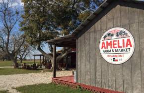 Amelia Farm and Market