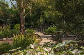 Tyrrell Park