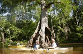 Cook's Lake to Scatterman Paddling Trail