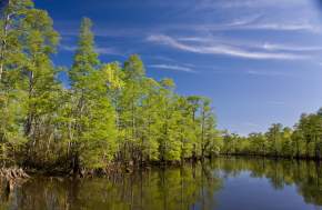 Neches River