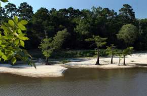 Village Creek State Park & Paddling Trail