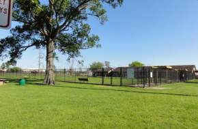 Ida Reed Dog Park