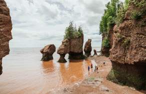 Hopewell Rocks Provincial Park