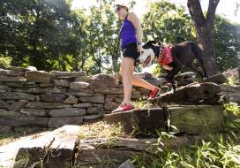 Hiking with Dog