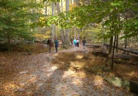 Hikers in Cunningham Falls State Park in the fall