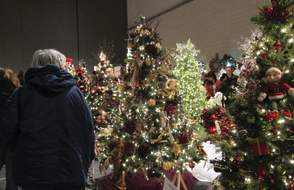 Tree Fest 1 (2)