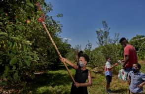 Cider Hill Family Orchard
