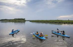 People in 3 kayaks in the Delta