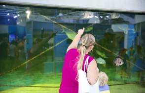 woman and child pointing to a large aquarium