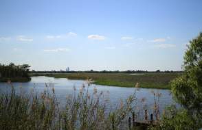 delta water and grass with the city in the far background