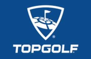 The logo for Topgolf is set against a solid blue square background. All elements of the logo are rendered in white.

At the top, a shield-shaped icon contains a stylized, perspective view of a circular golf green with a flag planted in the center, mimicking a dartboard or target. Below the shield, the word "TOPGOLF" is written in a bold, italicized, sans-serif typeface. The text is capitalized and features a sleek, modern design.