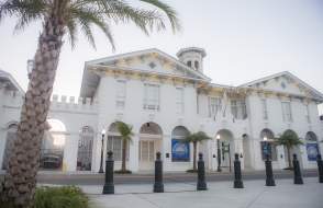 Exterior of the History Museum of Mobile and a palm tree