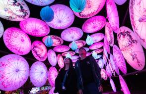 People walking through illuminated umbrella tunnel at the Gulf Coast Chinese Lantern Festival