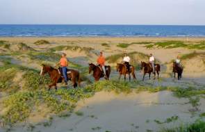 Ride Horses on the Beach