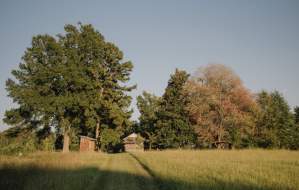 Twilight Nature Walk